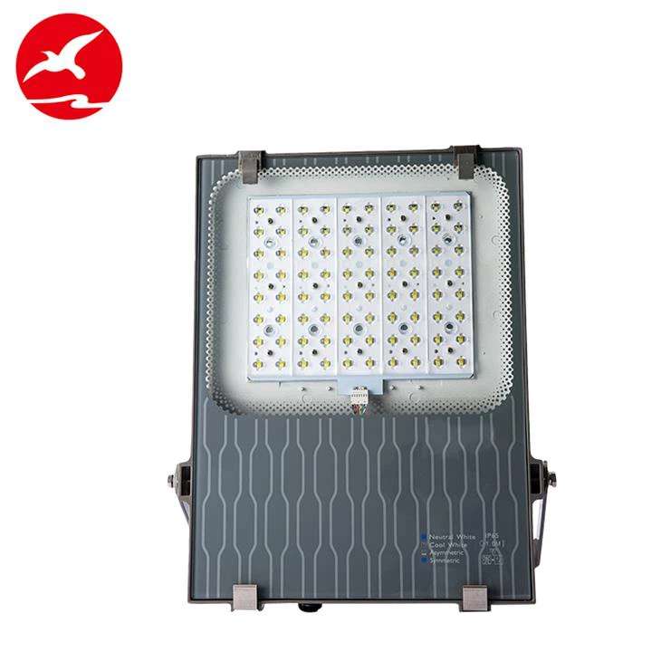 LED Flood Light Outdoor Projector Light
