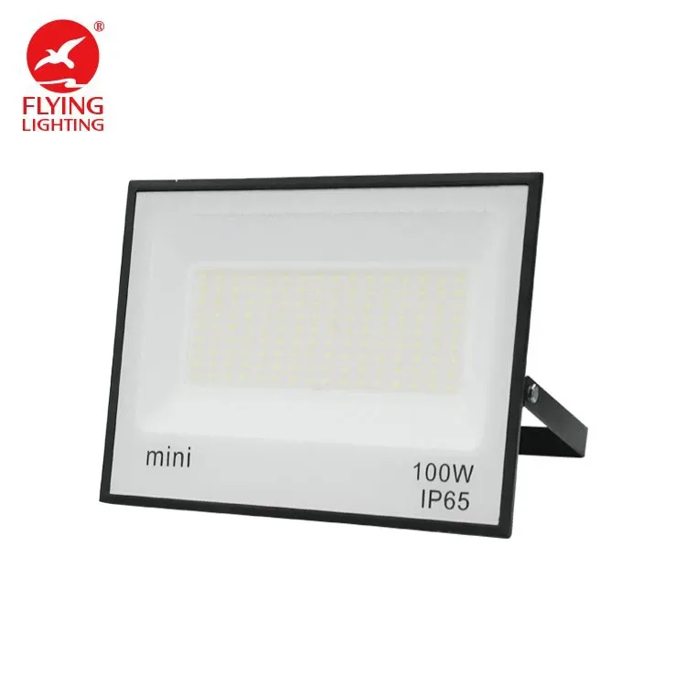 LED Mini Flood Light With 220VAC From 30Wattage To 200Wattages