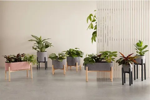 Garden planters