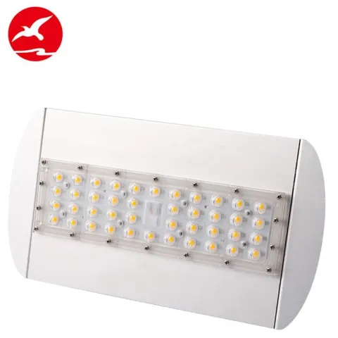 LED Flood Light Wall Light